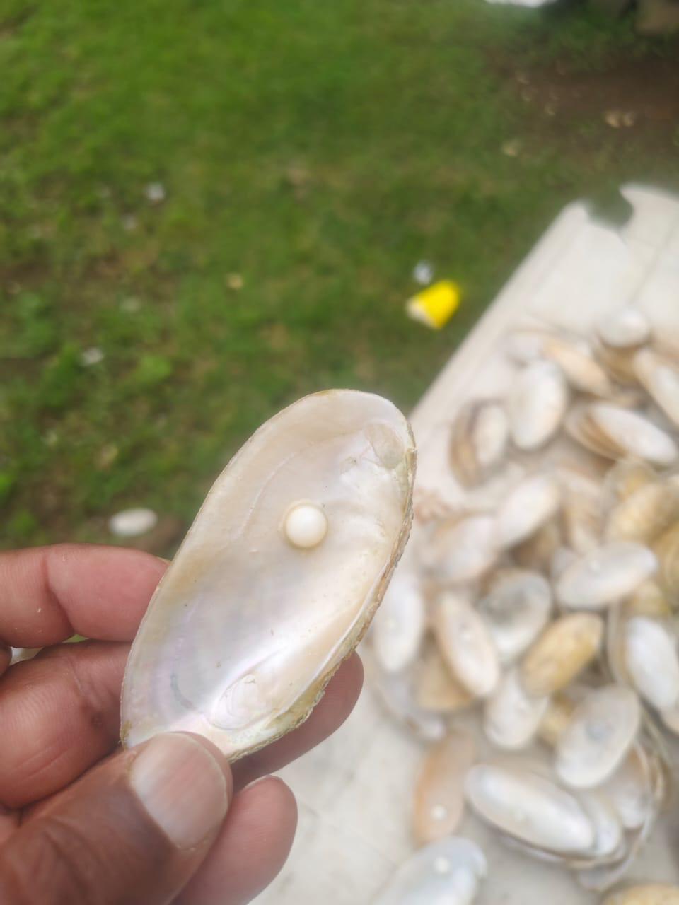 ????????? ??? ???? ?? ???? ?? ???????